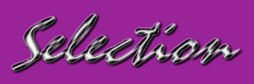 Selection-Logo-Chrome